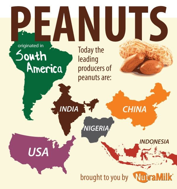 Facts about Peanuts