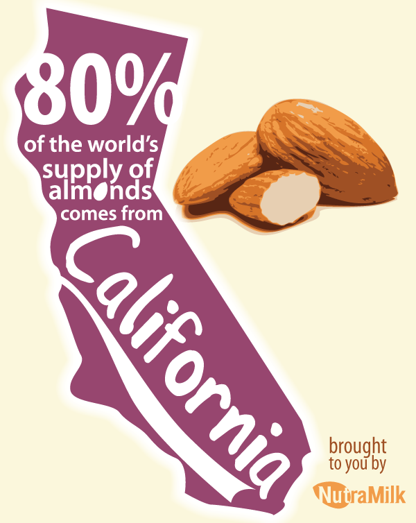 Facts About Almonds