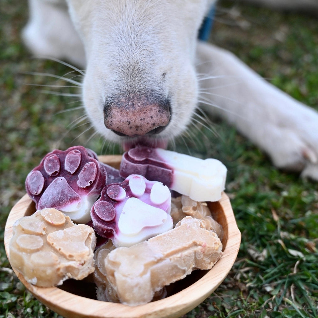 A plate of dog bone shaped popsicles for dogs