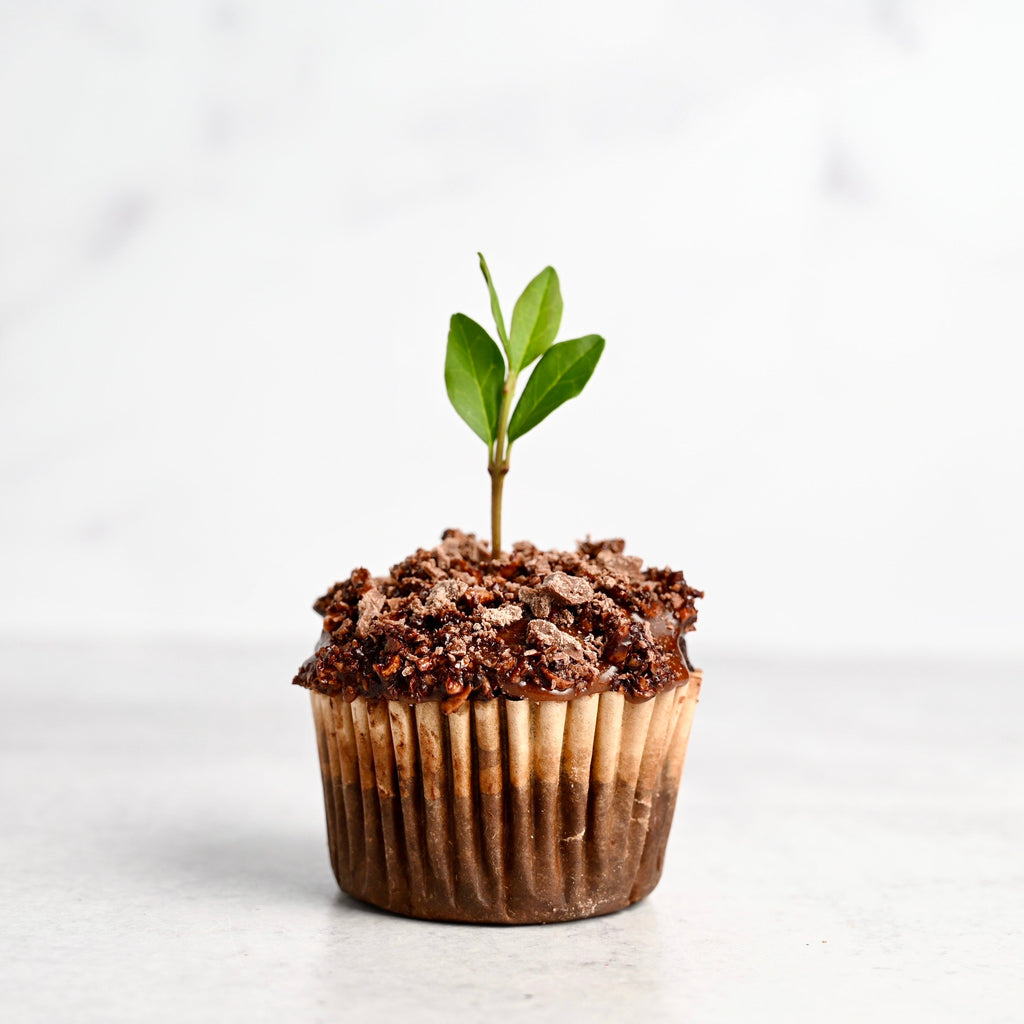 Earth Day Seedling Cupcakes