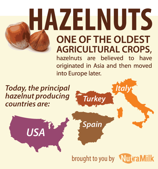 Facts About Hazelnuts