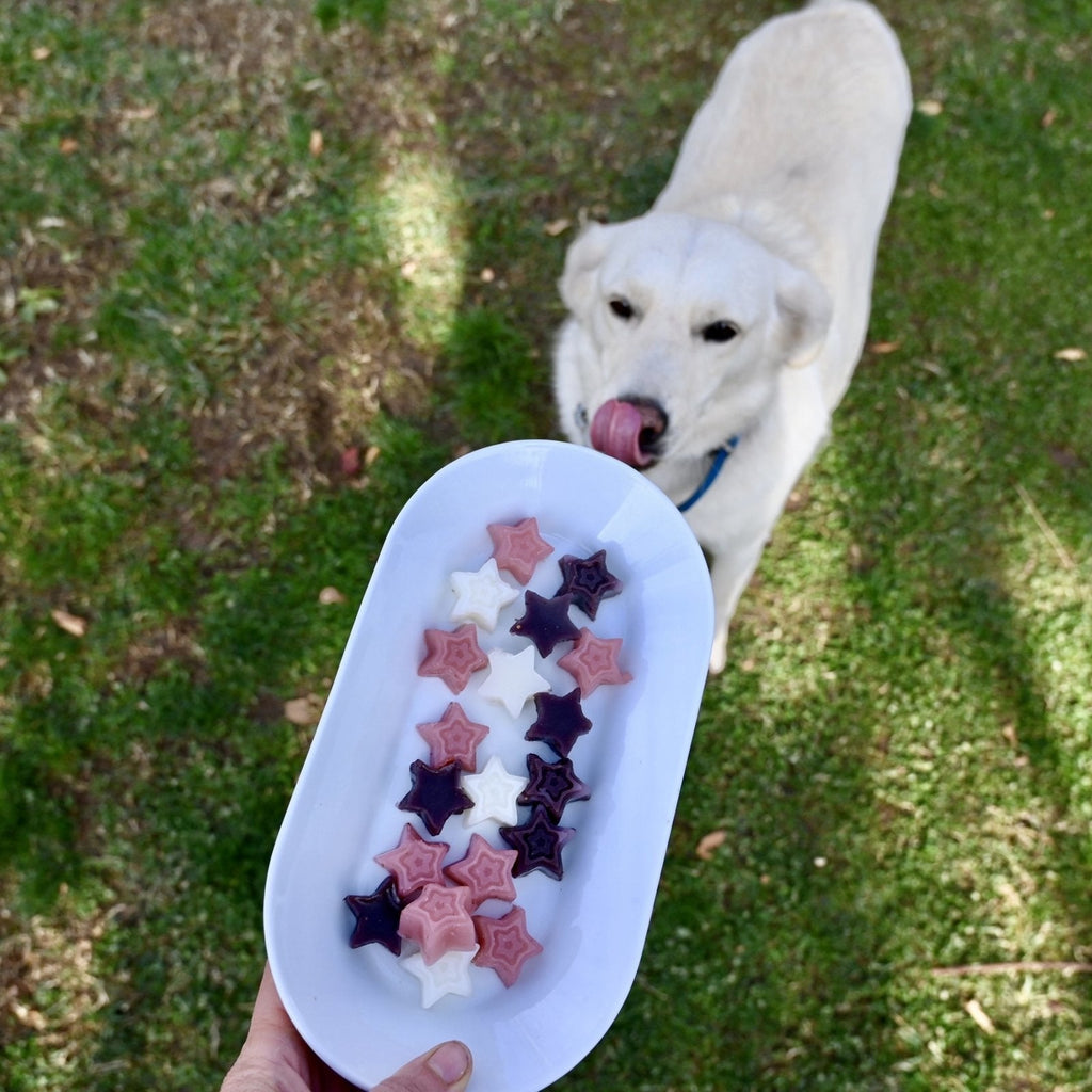 A white platter filled with red white and blue star shaped dog treat gummies