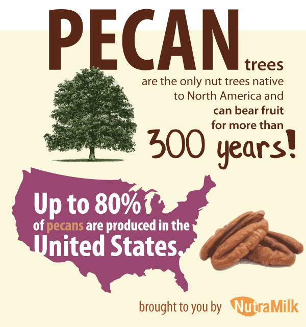 Facts About Pecans