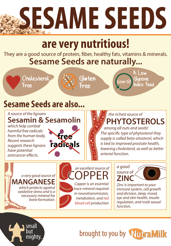 Sesame Seed Facts