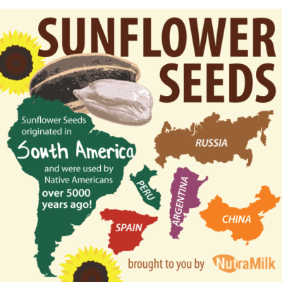 Facts About Sunflower Seeds