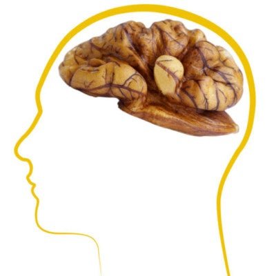 Top Nutrients For Brain Health