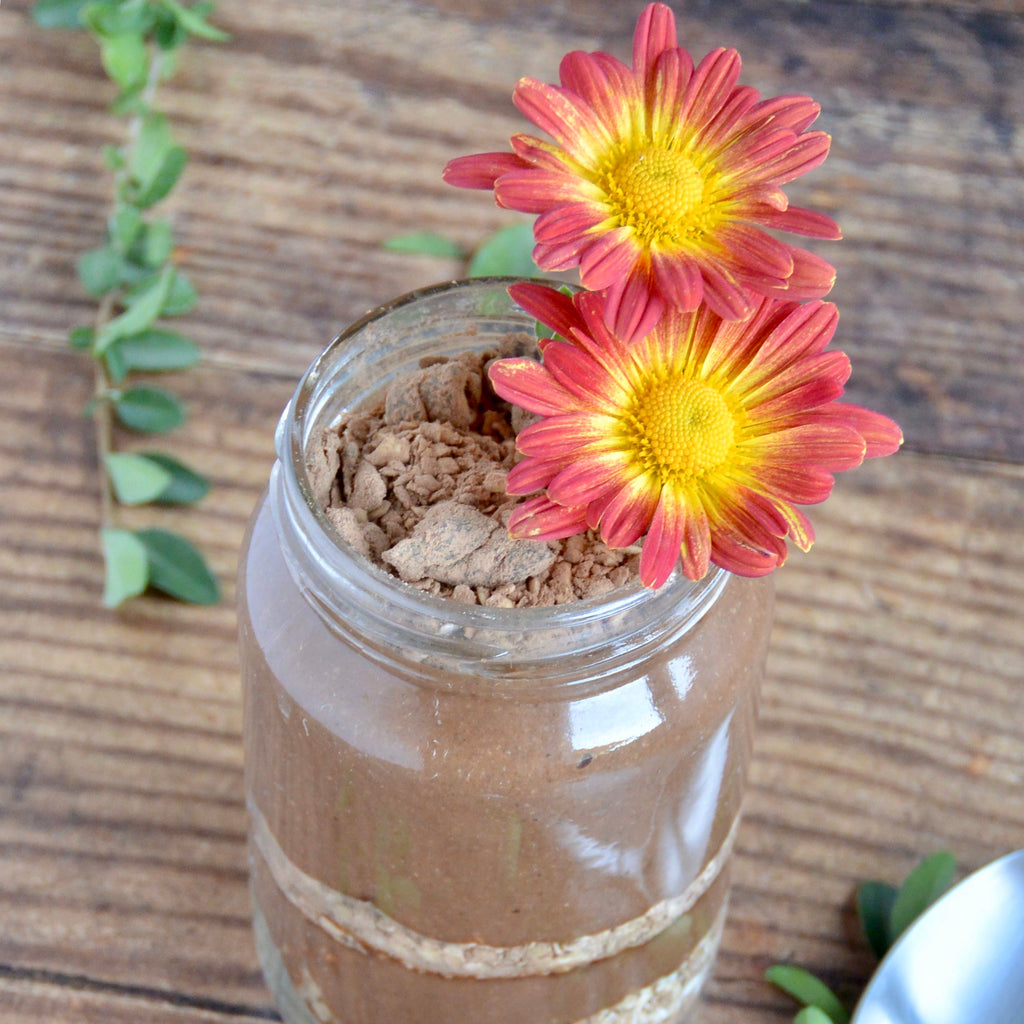 Earth Day Chia Pudding Dirt Cup