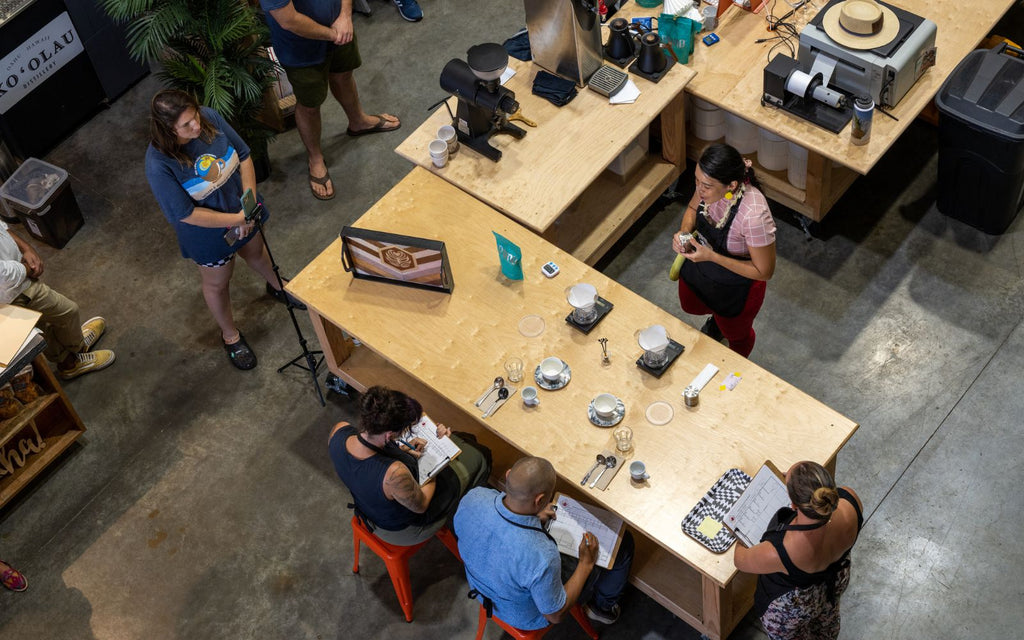 A barista competes in the Brewers Cup competition in front of a judging panel.