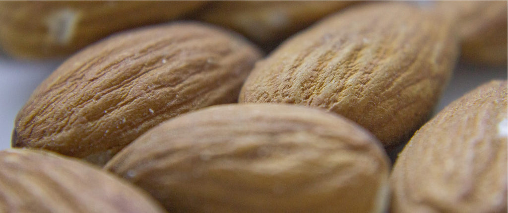 Close up photo of Almonds.